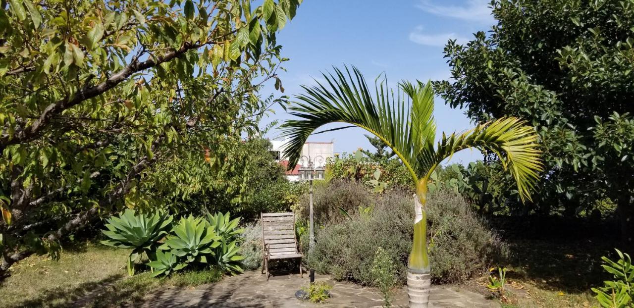 Apartament La Casita De La Vega Icod De Los Vinos Zewnętrze zdjęcie
