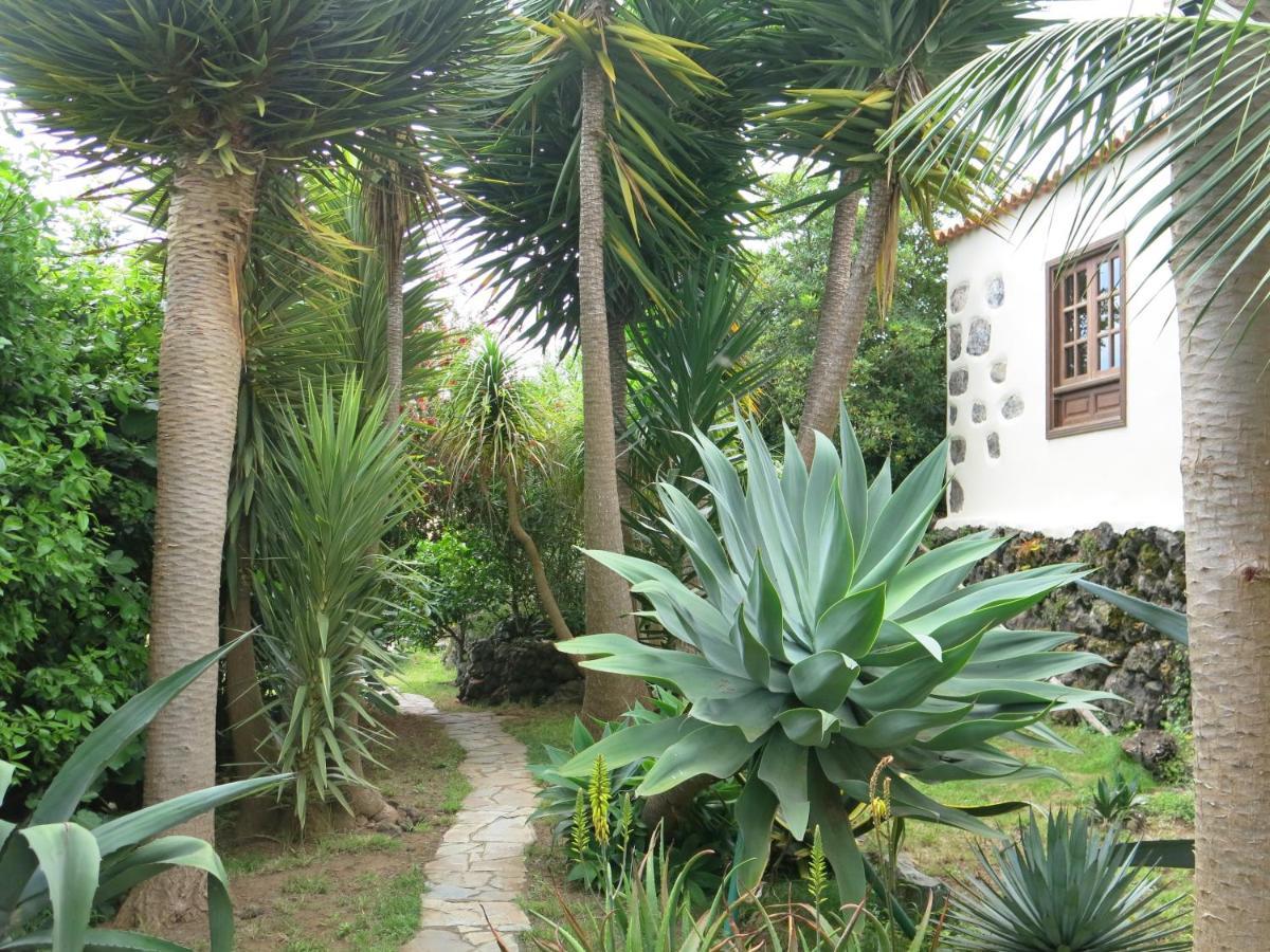 Apartament La Casita De La Vega Icod De Los Vinos Zewnętrze zdjęcie