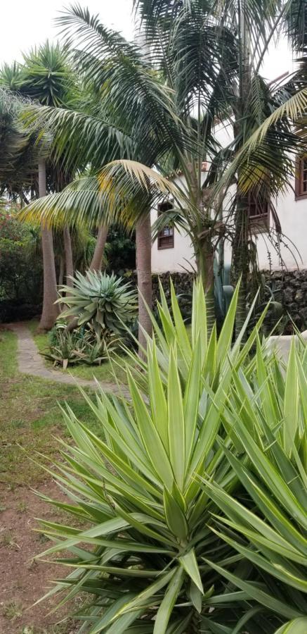 Apartament La Casita De La Vega Icod De Los Vinos Zewnętrze zdjęcie