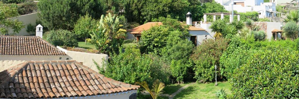 Apartament La Casita De La Vega Icod De Los Vinos Zewnętrze zdjęcie