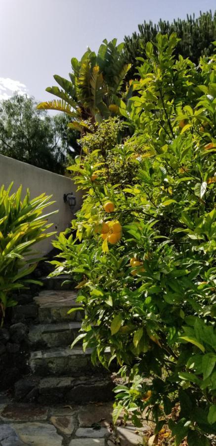 Apartament La Casita De La Vega Icod De Los Vinos Zewnętrze zdjęcie