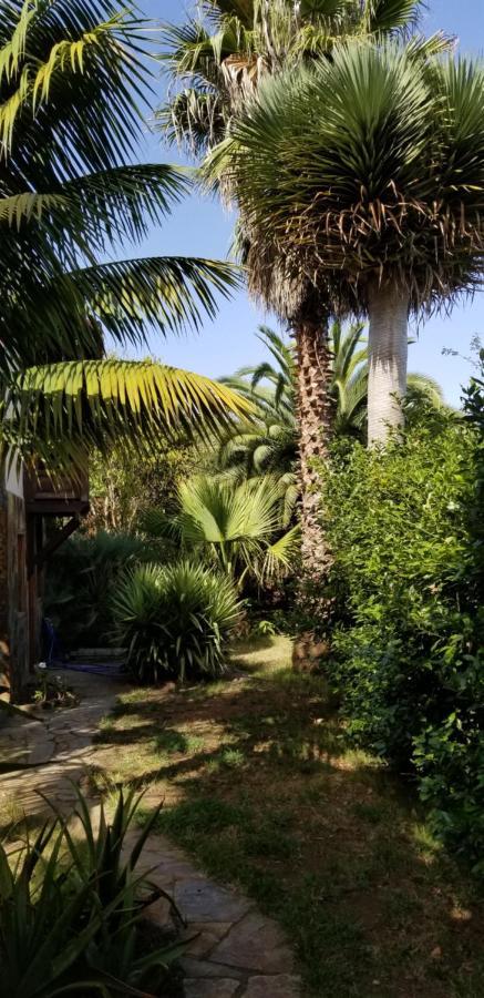 Apartament La Casita De La Vega Icod De Los Vinos Zewnętrze zdjęcie