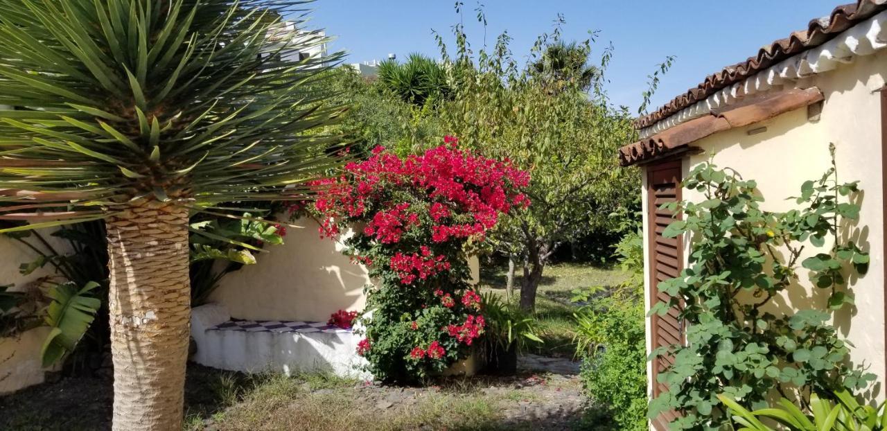 Apartament La Casita De La Vega Icod De Los Vinos Zewnętrze zdjęcie